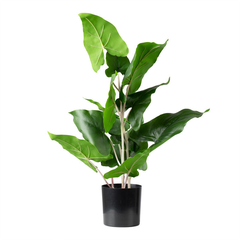 48Cm Artificial Typhonium Plant